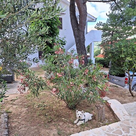 Apartmani Mw , Zuti Apartman Baška Zewnętrze zdjęcie